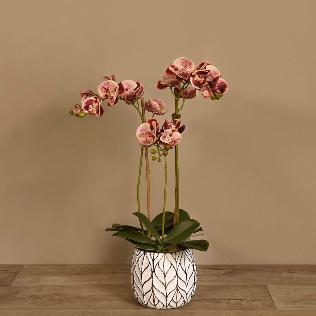 Artificial Orchid Arrangement - Bloomr