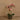 Flowers-Artificial Orchid Arrangement-Bloomr
