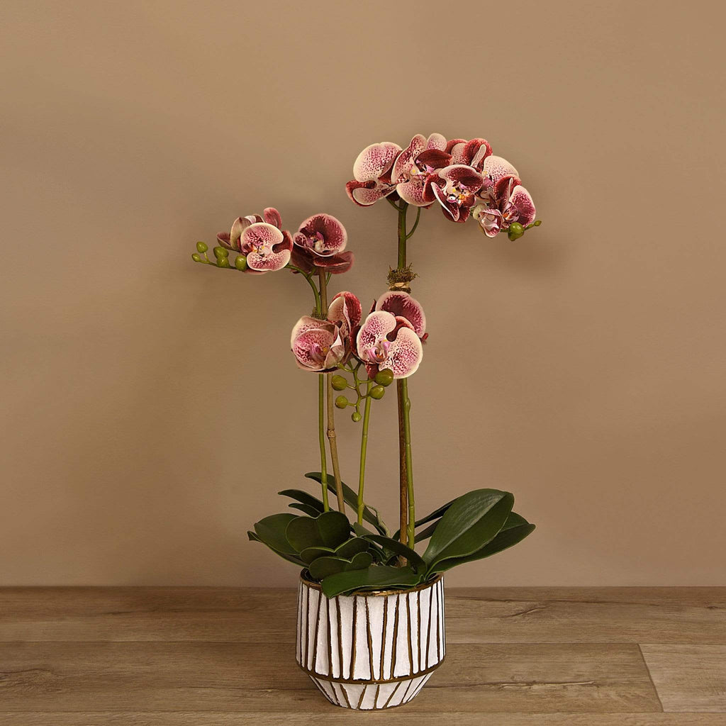 Artificial Orchid Arrangement - Bloomr