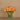 Floral Arrangement-Tulip Arrangement in Glass Vase-Bloomr