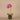 Flowers-Artificial Orchid Arrangement-Bloomr