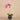 Flowers-Artificial Orchid Arrangement-Bloomr