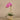 Flowers-Artificial Orchid Arrangement-Bloomr