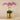 Flowers-Artificial Orchid in Gold Vase-Bloomr