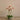 Flowers-Artificial Orchid Arrangement-Bloomr