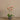 Flowers-Artificial Orchid Arrangement-Bloomr