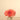 Flowers-Artificial Dahlia Arrangement in Glass Vase-Bloomr