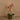 Flowers-Artificial Orchid Arrangement-Bloomr