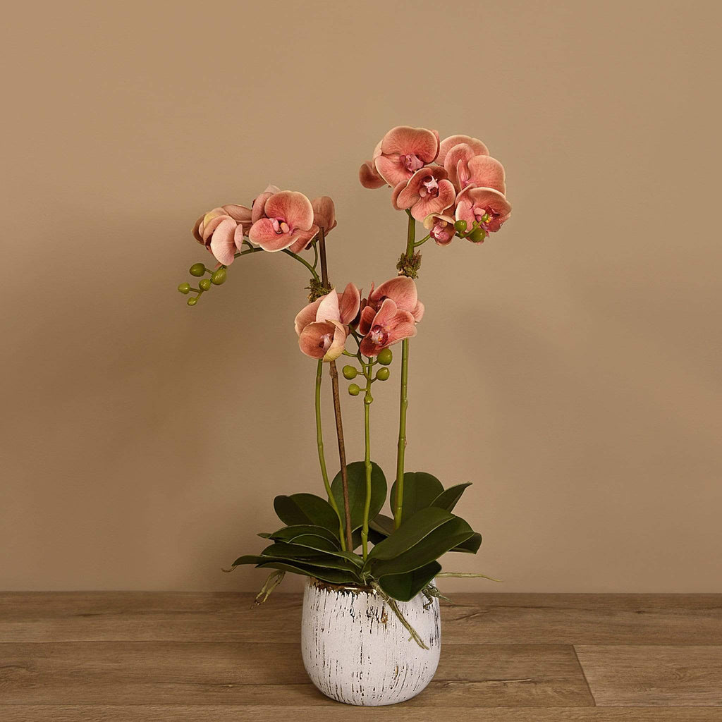 Artificial Orchid Arrangement - Bloomr