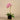 Flowers-Artificial Orchid Arrangement-Bloomr