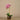 Flowers-Artificial Orchid Arrangement-Bloomr