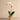 Flowers-Artificial Orchid Arrangement-Bloomr