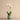 Flowers-Artificial Orchid Arrangement-Bloomr