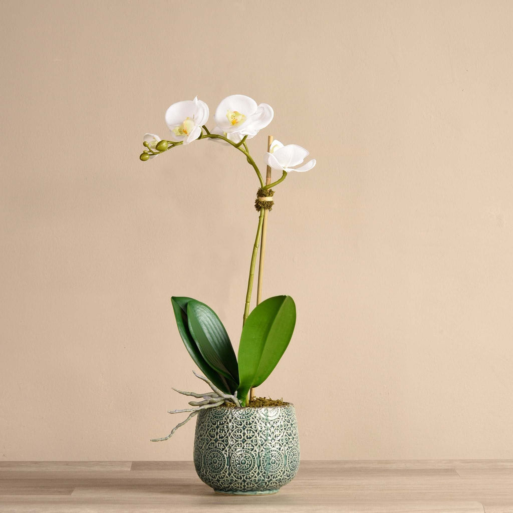 Artificial Orchid Arrangement - Bloomr