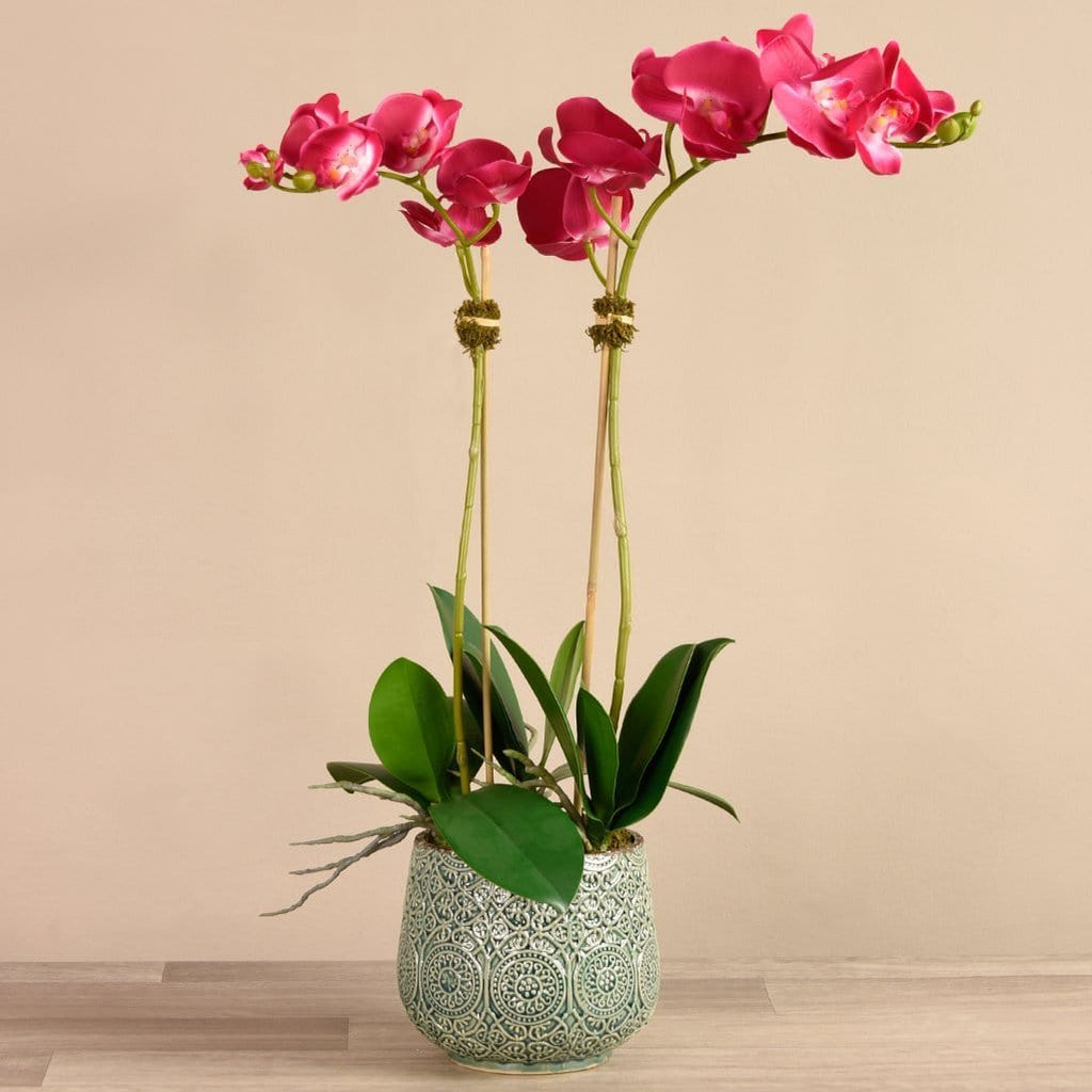 Artificial Orchid Arrangement - Bloomr
