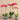 Flowers-Artificial Orchid Arrangement-Bloomr