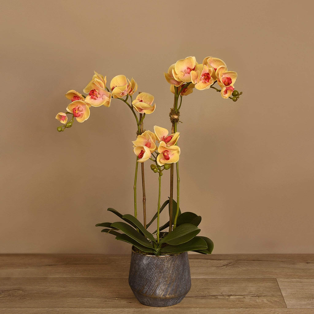 Artificial Orchid Arrangement - Bloomr