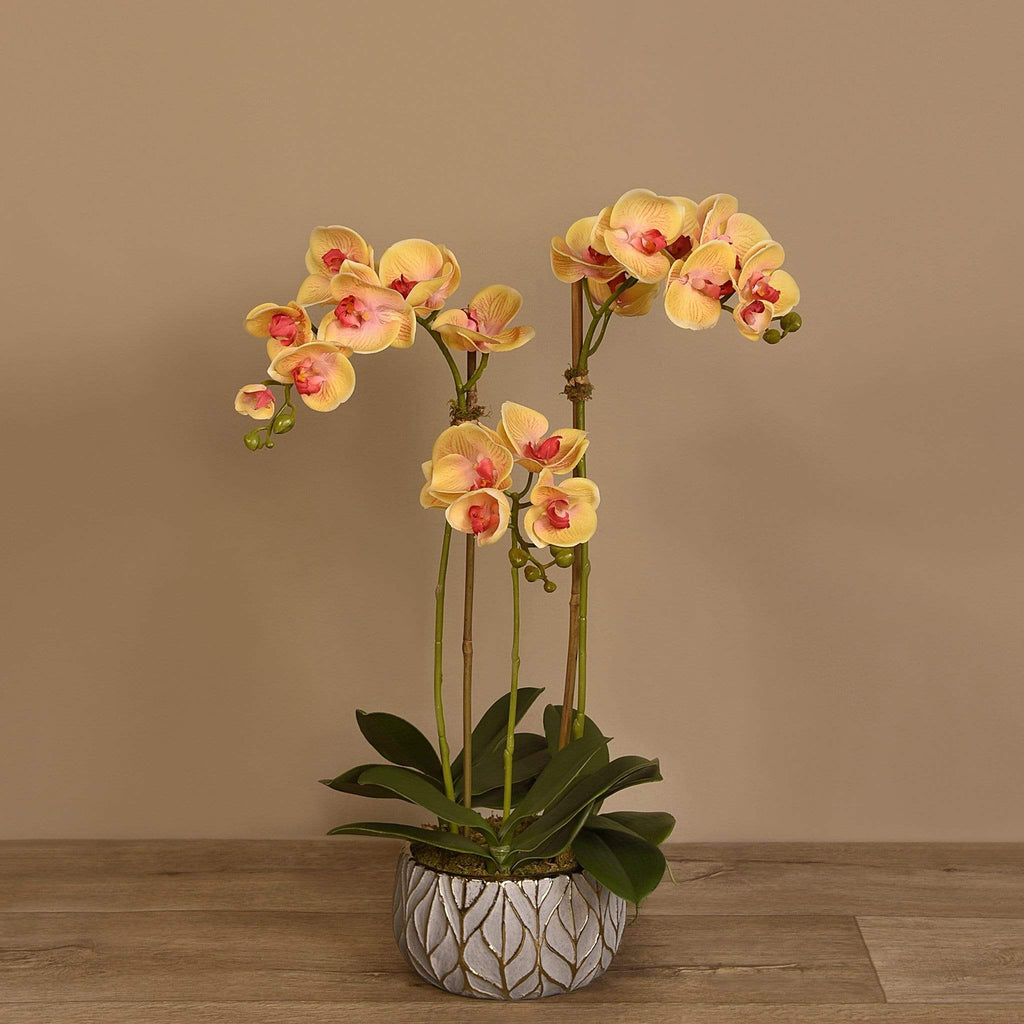Artificial Orchid Arrangement - Bloomr