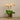 Flowers-Artificial Orchid Arrangement-Bloomr