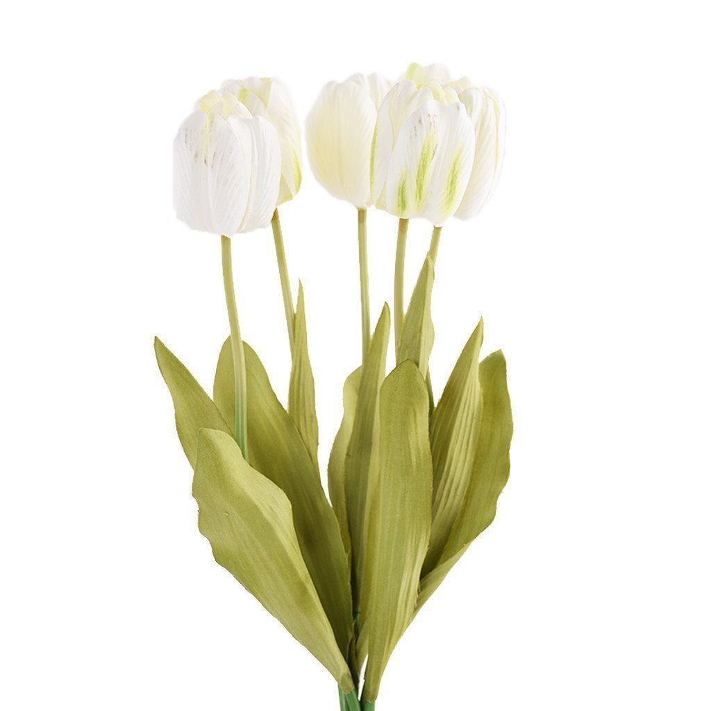 Tulip - Bloomr