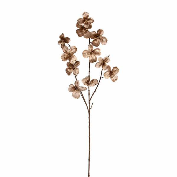 Velvet Dogwood - Bloomr