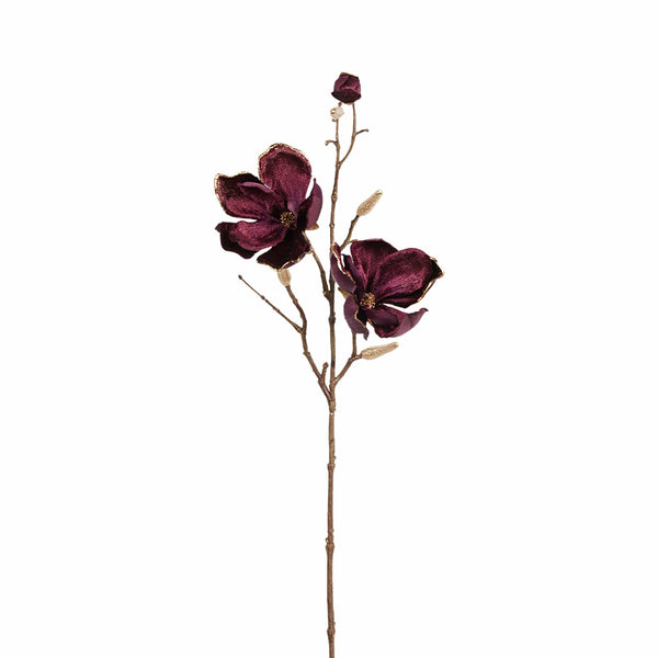 Velvet Magnolia - Bloomr