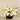 Floral Arrangement-Artificial Lily in Black Vase-Bloomr