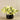 Floral Arrangement-Artificial Lily in Black Vase-Bloomr