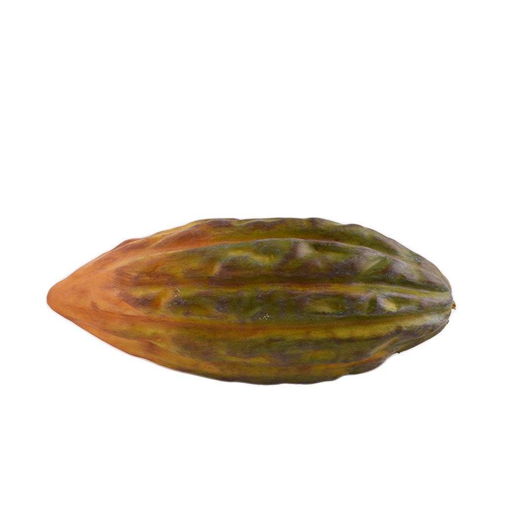 Cacao Fruit - Bloomr
