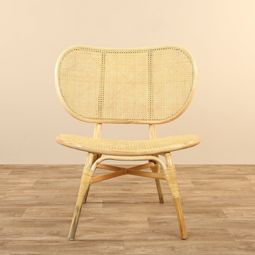 Viggo <br>  Armchair Lounge Chair - Bloomr