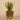 Greenery-Artificial Potted Aloe-Bloomr