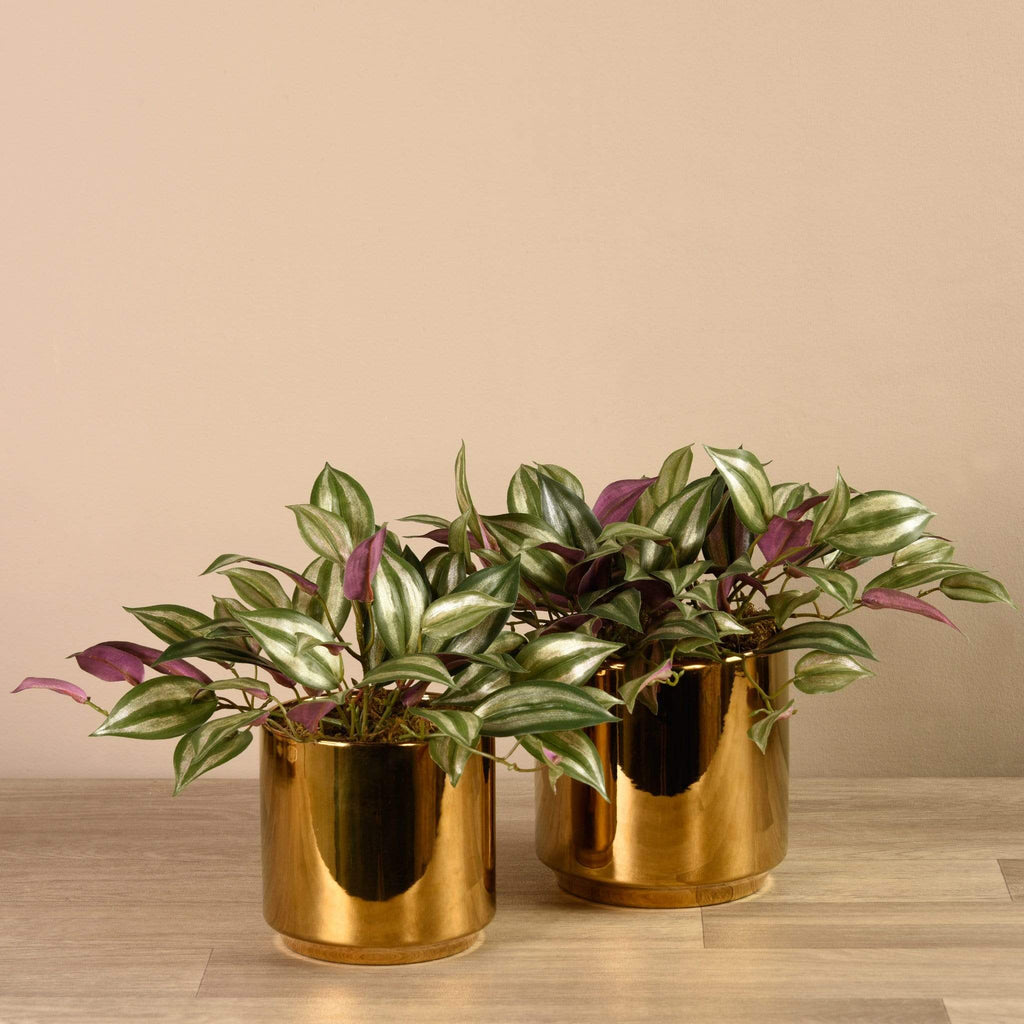 Artificial Potted Dark Vanilla Leaf Plant - Bloomr