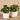 Greenery-Artificial Potted Pancake Plant-Bloomr