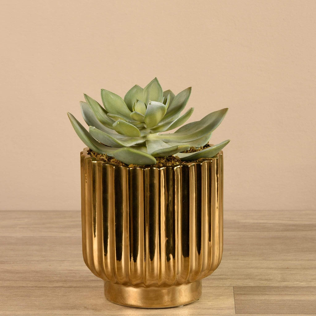 Artificial Potted Succulent - Bloomr