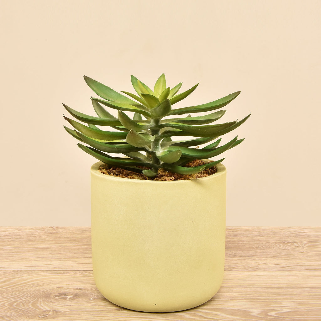 Artificial Desert Echeveria Succulent - Bloomr