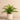 Greenery-Artificial Potted Fern-Bloomr