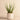 Plants-Artificial Potted Aloe-Bloomr