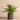 Greenery-Artificial Potted Fern-Bloomr