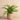 Greenery-Artificial Potted Fern-Bloomr