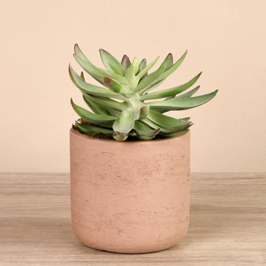 Artificial Desert Echeveria Succulent - Bloomr