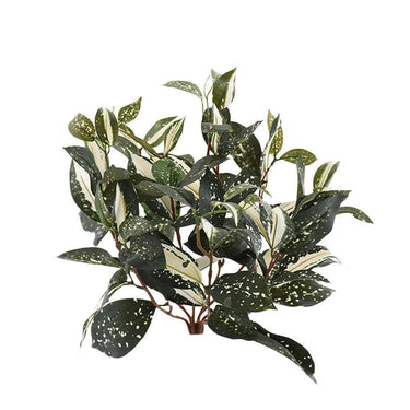 Greenery-Cordyline-Bloomr
