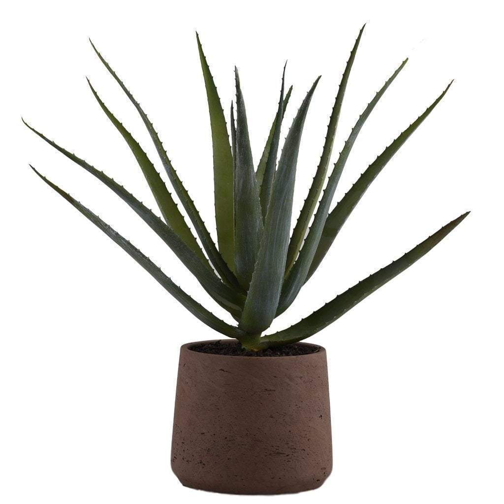 Artificial Aloe - Bloomr