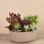 Artificial Mixed Succulent Arrangement - Bloomr
