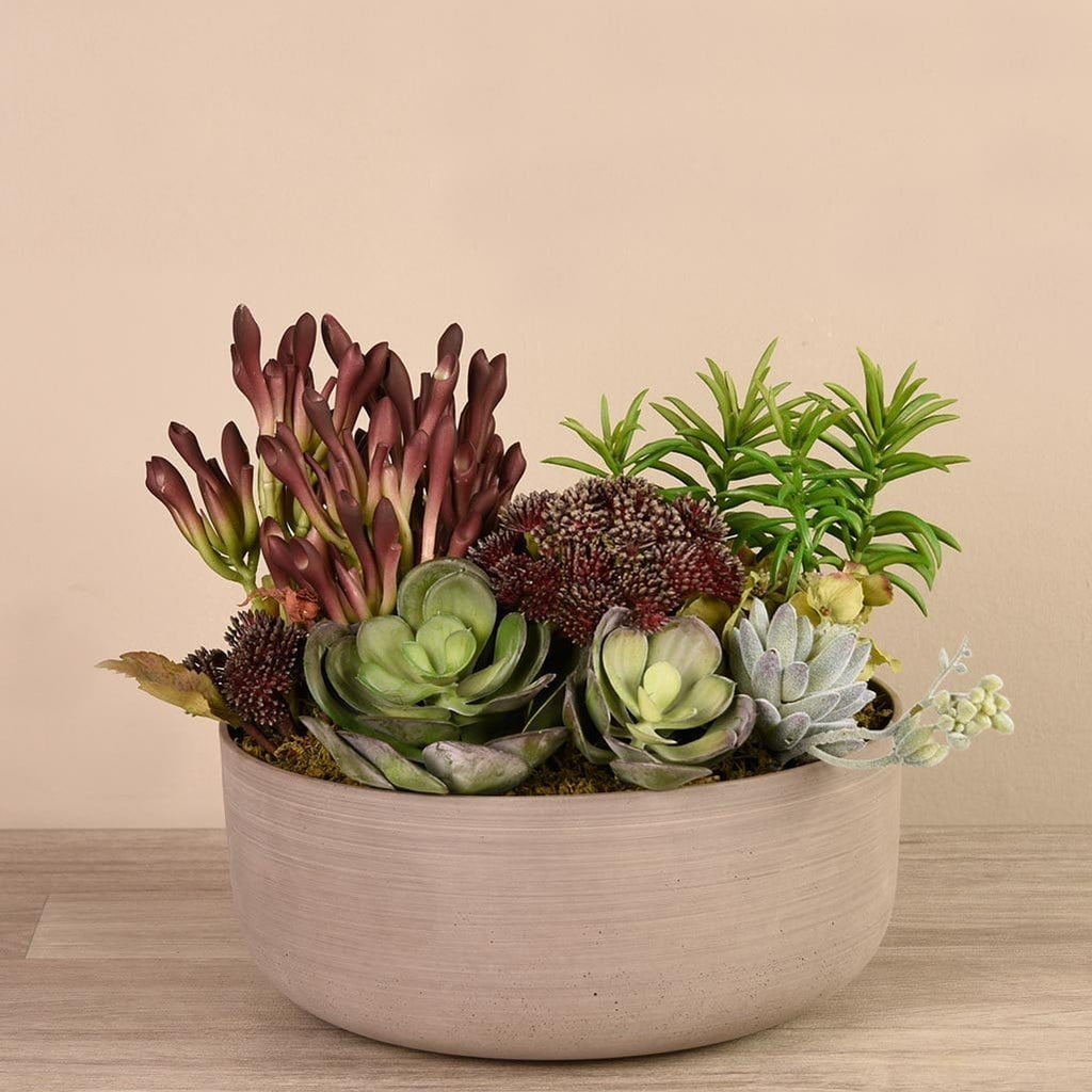 Artificial Mixed Succulent Arrangement - Bloomr