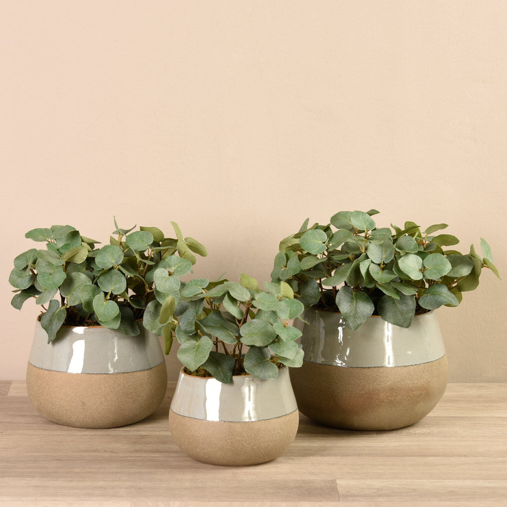 Artificial Eucalyptus Arrangement in Ceramic Vase - Bloomr