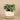 Greenery-Artificial Eucalyptus Arrangement in Ceramic Vase-Bloomr