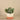 Greenery-Artificial Eucalyptus Arrangement in Ceramic Vase-Bloomr