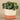 Greenery-Artificial Eucalyptus Arrangement in Ceramic Vase-Bloomr