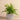 Greenery-Artificial Potted Fern-Bloomr