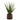 Greenery-Artificial Aloe-Bloomr